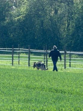 Bünde - Jagdwilderei