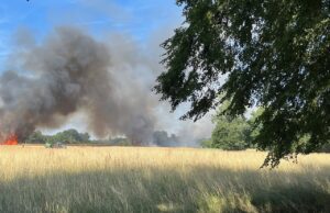Grosses Feld in Vollbrand – Großeinsatz für die Feuerwehr Ratingen