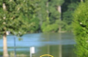 Gefahrenmeldung wegen Hochwasser für Celle und Winsen