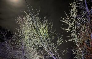 Sturmtief Zoltan sorgt für ein gutes dutzend Einsätze im Stadtgebiet