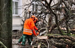 Sturmtief „Zoltan“ verursacht Sturmschäden im Stadtgebiet