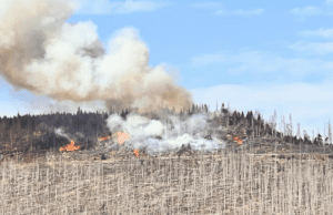 Großflächiger Waldbrand am Brocken: Feuerwehren und Löschflugzeuge im Einsatz