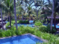 Reizgasvorfall im Tropical Islands – 17 Personen verletzt hotel swimming pool, resort pool, outdoor swimming pool, swimming pool, travel, nature, water, break, vacation spot