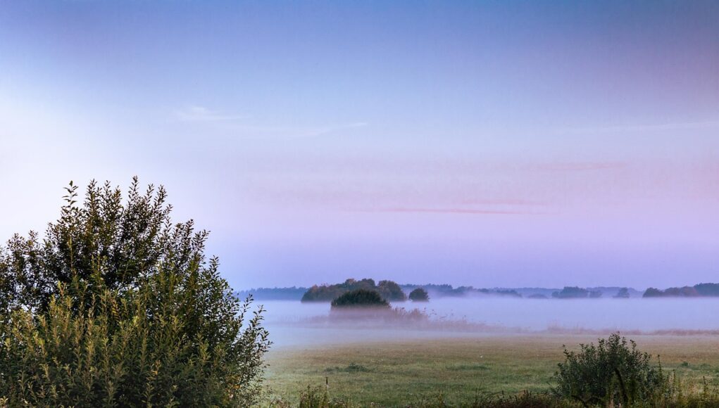 Photo by CapeCom gartow, gartow am see, elbuild, fog, sunrise, wendland, lüchow-dannenberg, tomorrow, mood, landscape