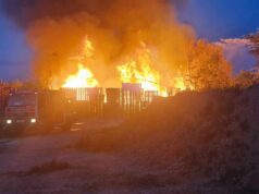 Großbrand in Berlin-Marzahn: Drei Lagerhallen in Flammen – 225 Einsatzkräfte vor Ort