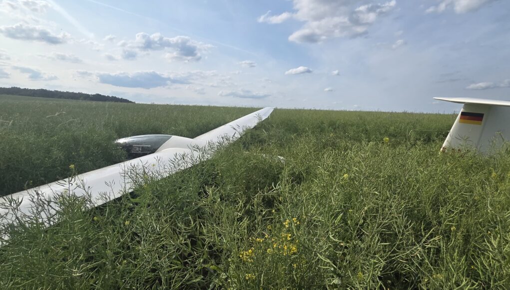 Das Segelflugzeug blieb bei der Notlandung scheinbar unbeschadet.