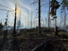 Waldbrand am Möhnesee: Ausweitung auf 30.000 m² – Löscharbeiten aus der Luft