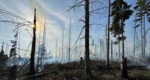 Waldbrand am Möhnesee: Ausweitung auf 30.000 m² – Löscharbeiten aus der Luft