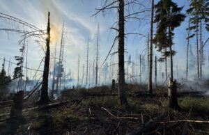 Waldbrand am Möhnesee: Ausweitung auf 30.000 m² – Löscharbeiten aus der Luft